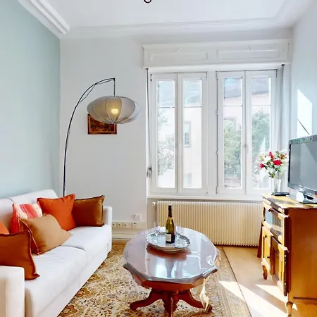 Au Buisson De Roses - Confort Et Charme Au Centre Apartment Colmar